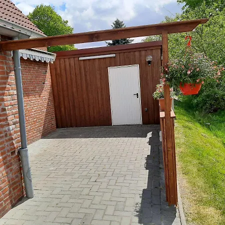 5 Sterne Von Den Wilden Aeckern